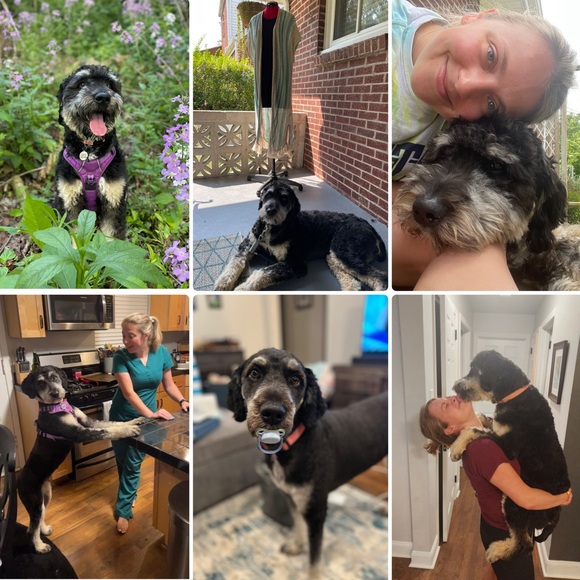 Hey! I’m Kelly Elizabeth - - Picture 3 of 4